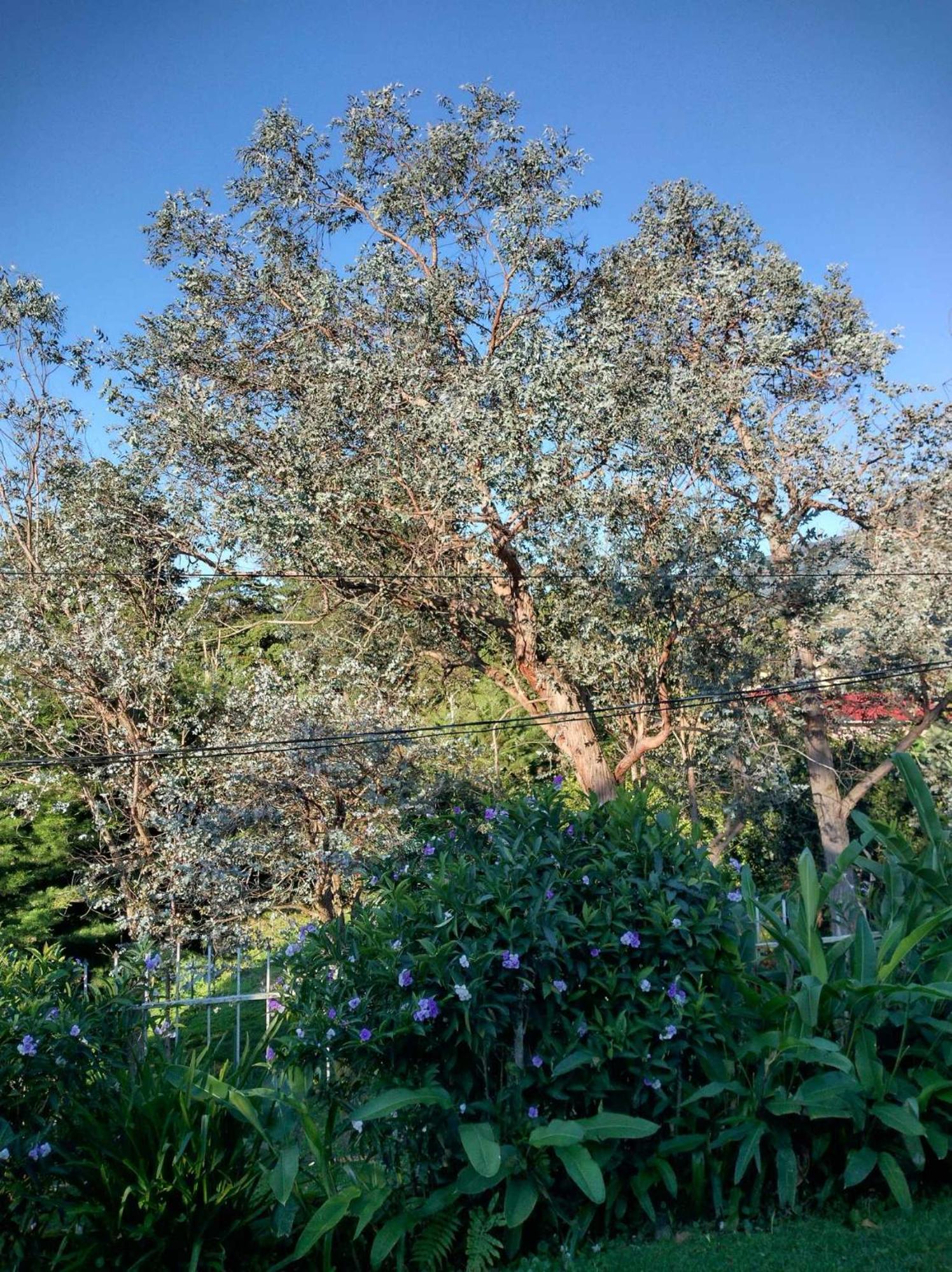 Agartha Mountain Retreat Hostel